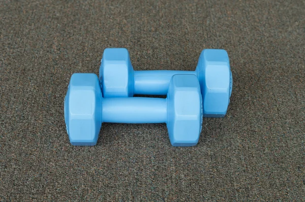 Blue dumbbells on the carpet — 스톡 사진