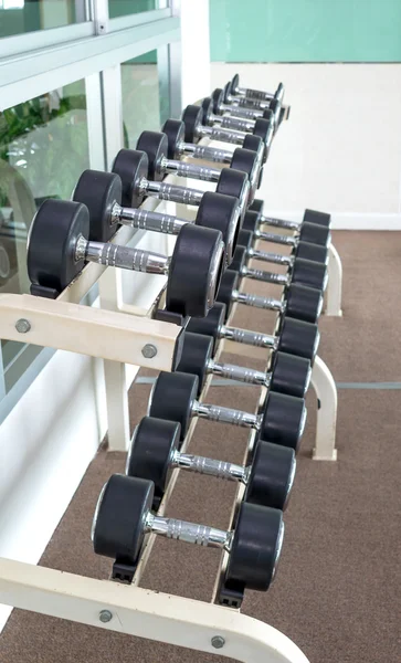 Rangées d'haltères dans la salle de fitness — Photo