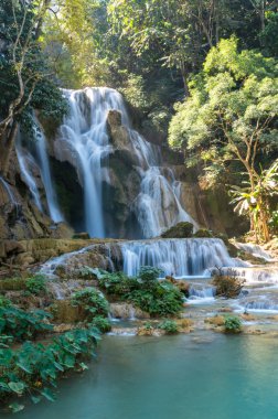 Ormanın içinde yumuşak odak ile güzel şelale