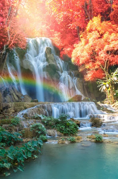 Hermosa cascada con foco suave y arco iris en el bosque — Foto de Stock