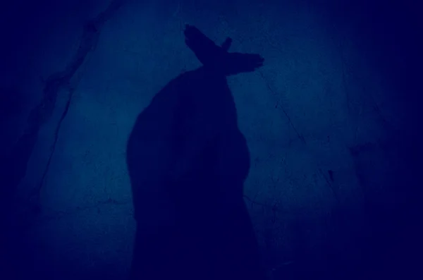 Dvě ruce, tvořící pták stín na zdi v jeskyni — Stock fotografie