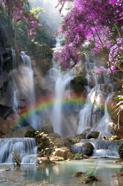 Cachoeira bonita com foco suave e arco-íris na floresta — Fotografia de Stock