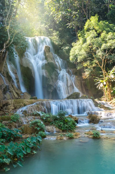 Beautiful waterfall with soft focus in the forest — Stock Photo, Image