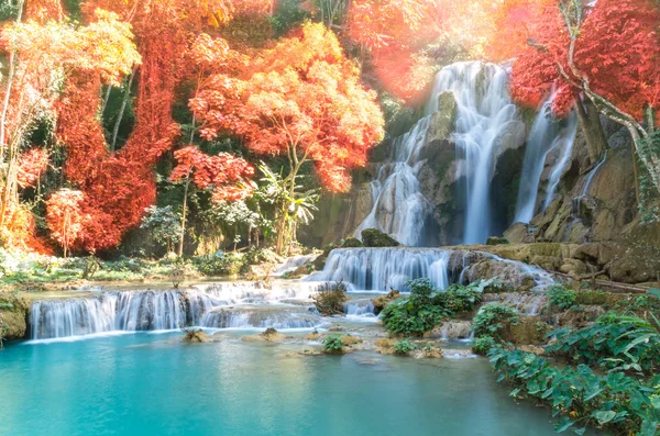 Красивий водоспад з м'яким фокусом і веселкою в лісі — стокове фото