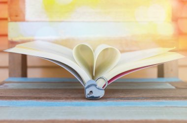 Asma kilit kalp kitap ile kalp şeklinde