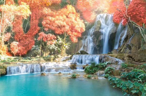 Beautiful waterfall with soft focus and rainbow in the forest