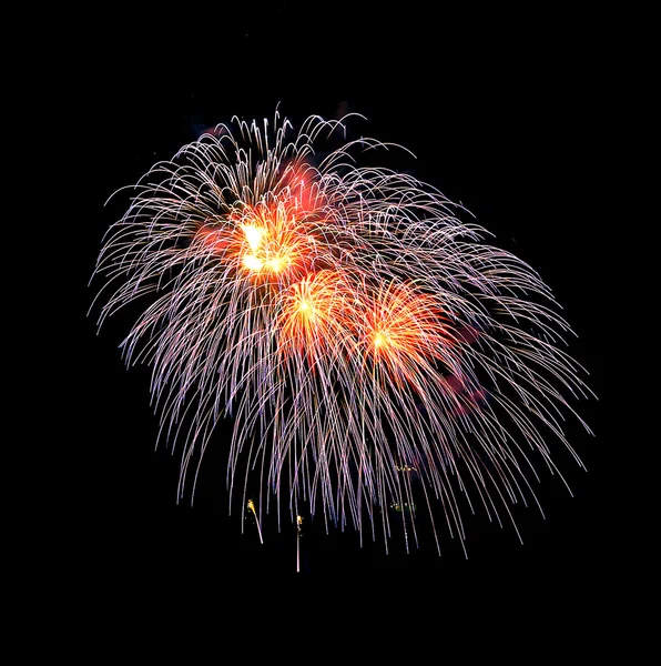 Beautiful colorful fire work — Stock Photo, Image