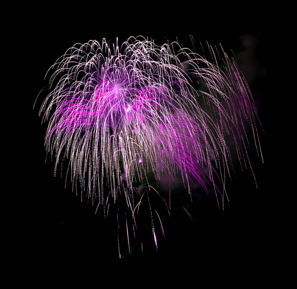 Fuegos artificiales multicolores —  Fotos de Stock