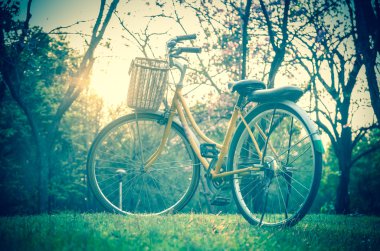 Gün batımında klasik Bisiklet park veya derin orman