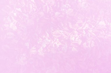 Çay yaprak yumuşak pembe renk arka plan