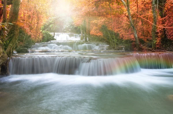 Красивый водопад в мягком фокусе с радугой в лесу — стоковое фото