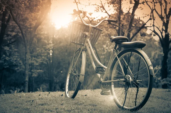 Bicicleta clásica al atardecer en el parque o bosque profundo — Foto de Stock