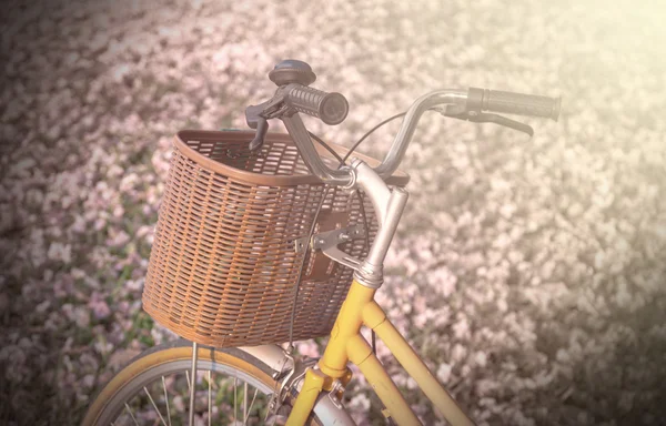 Bicicleta clásica de primer plano con hermosas flores en el vidrio, suave — Foto de Stock