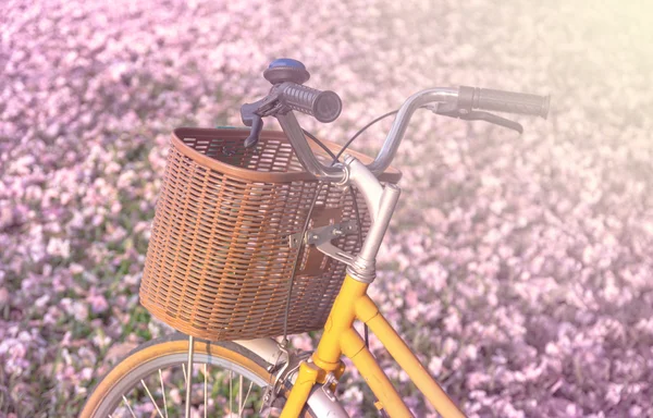 Closeup Classic Bicycle with beautiful floral on the glass, soft — Stock Photo, Image