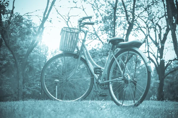 Classic Bicycle at sunset in the park or deep forest — Stock Photo, Image