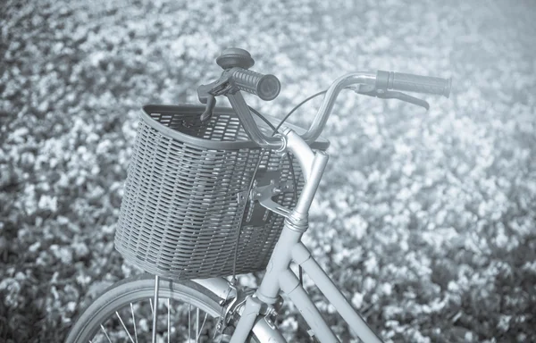 Bicicleta clásica de primer plano con hermosas flores en el vidrio, suave — Foto de Stock