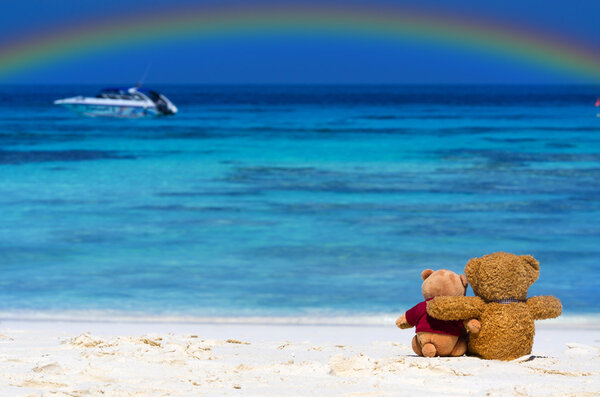 Two TEDDY BEAR brown color sitting on the beautiful beach