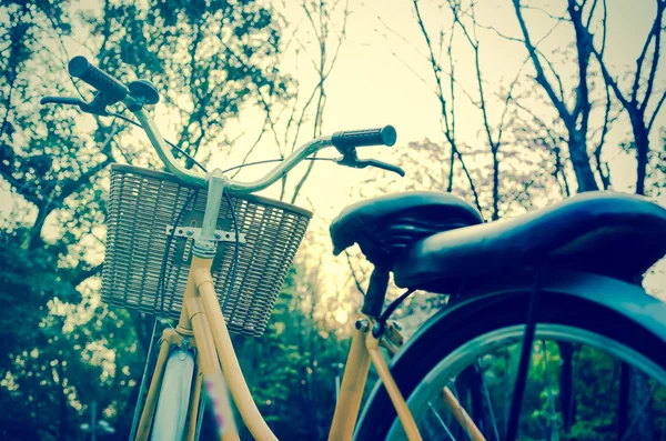 Bicicleta clásica al atardecer en el parque o bosque profundo — Foto de Stock