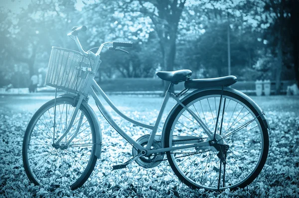 Bicicletta classica al tramonto nel parco o nella foresta profonda — Foto Stock