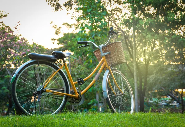 Classic Bicycle at sunset in the park or deep forest — Stock Photo, Image