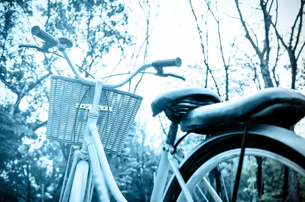 Bicicletta classica al tramonto nel parco o nella foresta profonda — Foto Stock