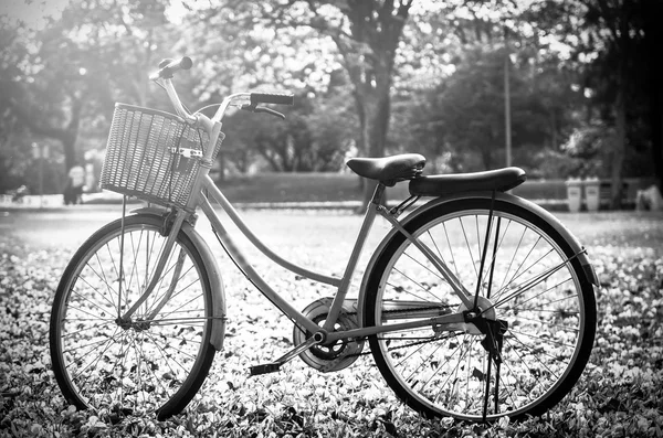 Bicicleta clásica al atardecer en el parque o bosque profundo — Foto de Stock