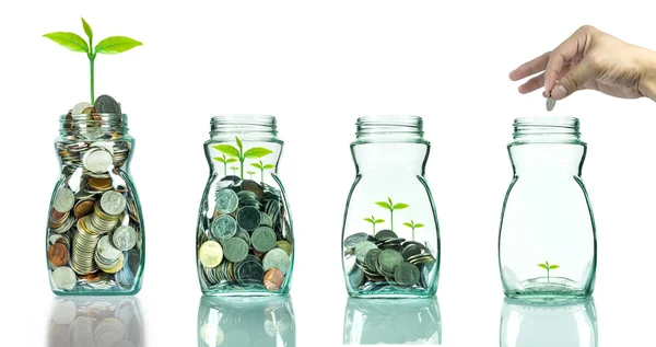 Misture moedas e sementes em borrão claro no fundo branco, Negócios — Fotografia de Stock