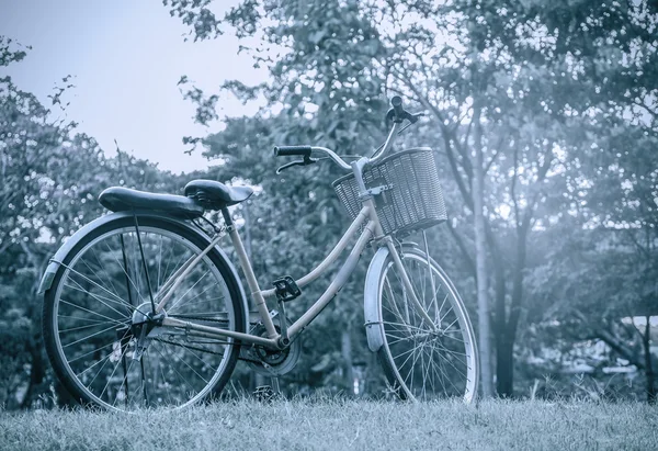 Bicicletta classica al tramonto nel parco o nella foresta profonda — Foto Stock