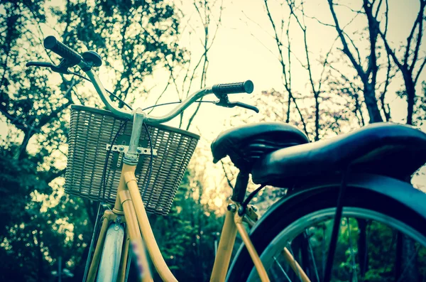 Gün batımında klasik Bisiklet park veya derin orman