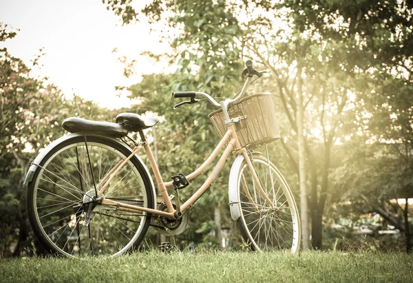 Bicicleta clásica al atardecer en el parque o bosque profundo — Foto de Stock