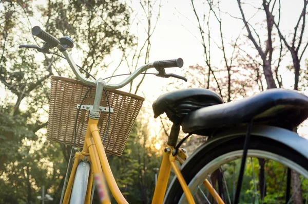 Bicicleta clásica al atardecer en el parque o bosque profundo — Foto de Stock