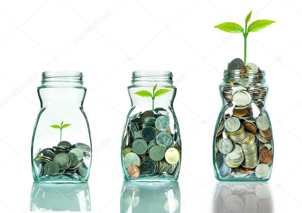 Mix coins and seed in clear blottle on white background,Business investment growth concept