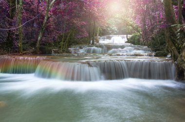 Ormandaki gökkuşağı ile yumuşak odak güzel şelale