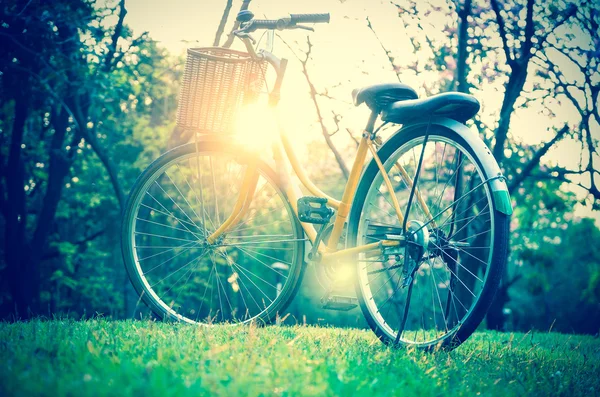 Klasyczny rower w zachód słońca w parku lub w głębokim lesie — Zdjęcie stockowe