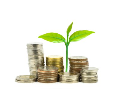 Dünya harita arka plan, iş ve yatırım kavramı altında para sikkelerinde büyüyen yeşil bitki