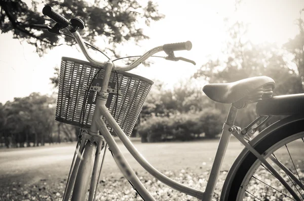 Bicicleta clásica al atardecer en el parque o bosque profundo — Foto de Stock