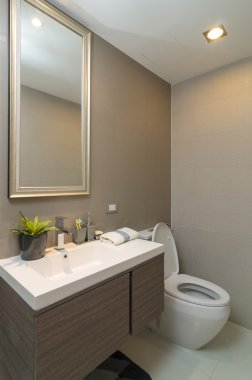 Lüks iç bathtoom veya tuvalet solucan ışık ile