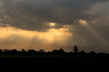 Işınları ışık parlaklık, dramatik günbatımı, solucan sesi