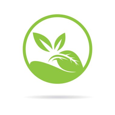 Yaprak vektörü şablon tasarımı