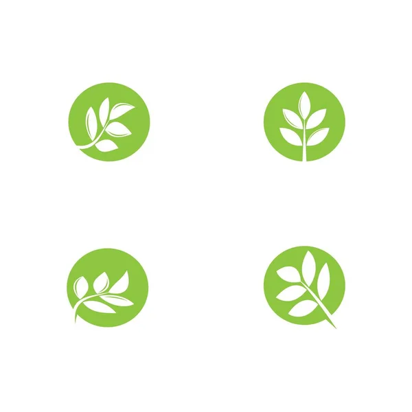 Hoja Vector Plantilla Icono Diseño — Vector de stock