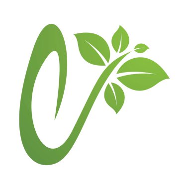 Yaprak vektörü logo şablon tasarımı