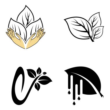 Yaprak vektörü logo dizaynı