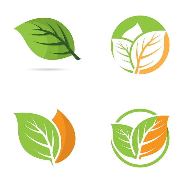 Hoja Vector Logo Plantilla Icono Conjunto Diseño — Vector de stock