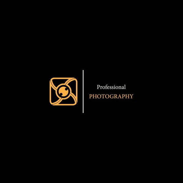 Profesyonel Fotoğraf Logosu Vektör Logo Tasarımı — Stok Vektör