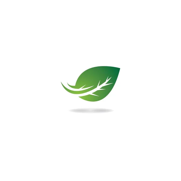 Modèle Logo Vectoriel Feuille Icône Design — Image vectorielle