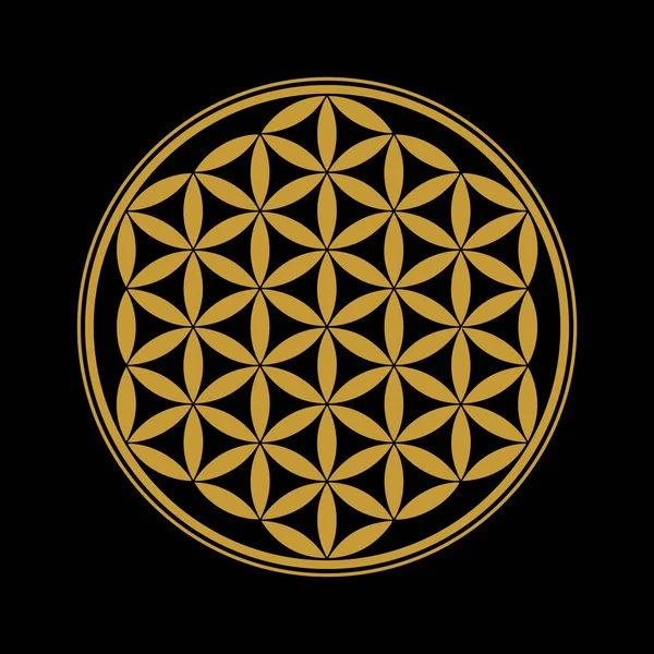生命デザインイメージの花 ベクトルイラスト 神聖な幾何学 シンボルの癒しとバランス ストックベクター