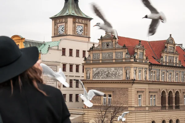 Śmieszka leci wokół mostu Karola w Pradze — Zdjęcie stockowe