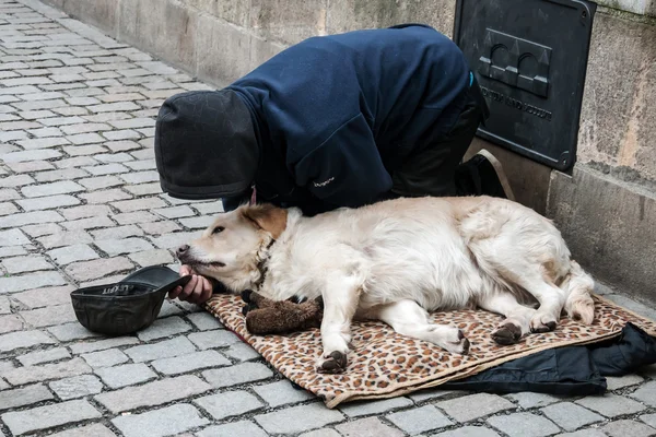 Hombre con perro mendigando en el Puente de Carlos — Foto de Stock