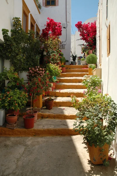 Callejón con flores — Foto de Stock