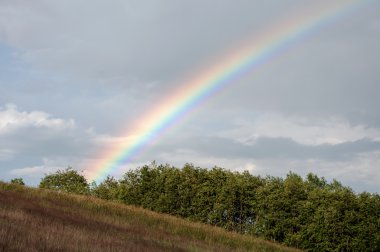 Gökkuşağı Jeseniky dağlar kırsalında yağmurdan sonra 